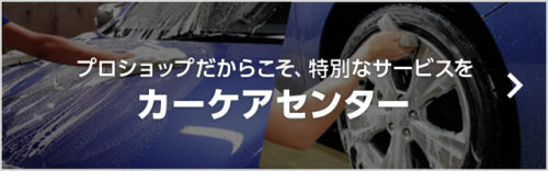 1bnr-wash-500x156
