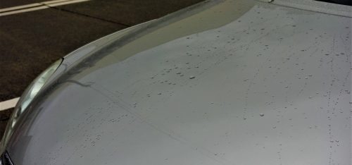 25676564_m