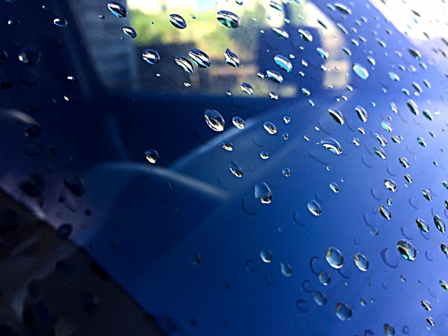 1640435_s.jpg